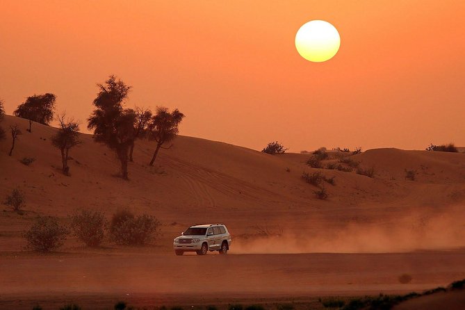 Sunrise View Safari With Camel Ride (Minimum 2 Persons)